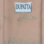 Peach Blossom Dream 2360-C